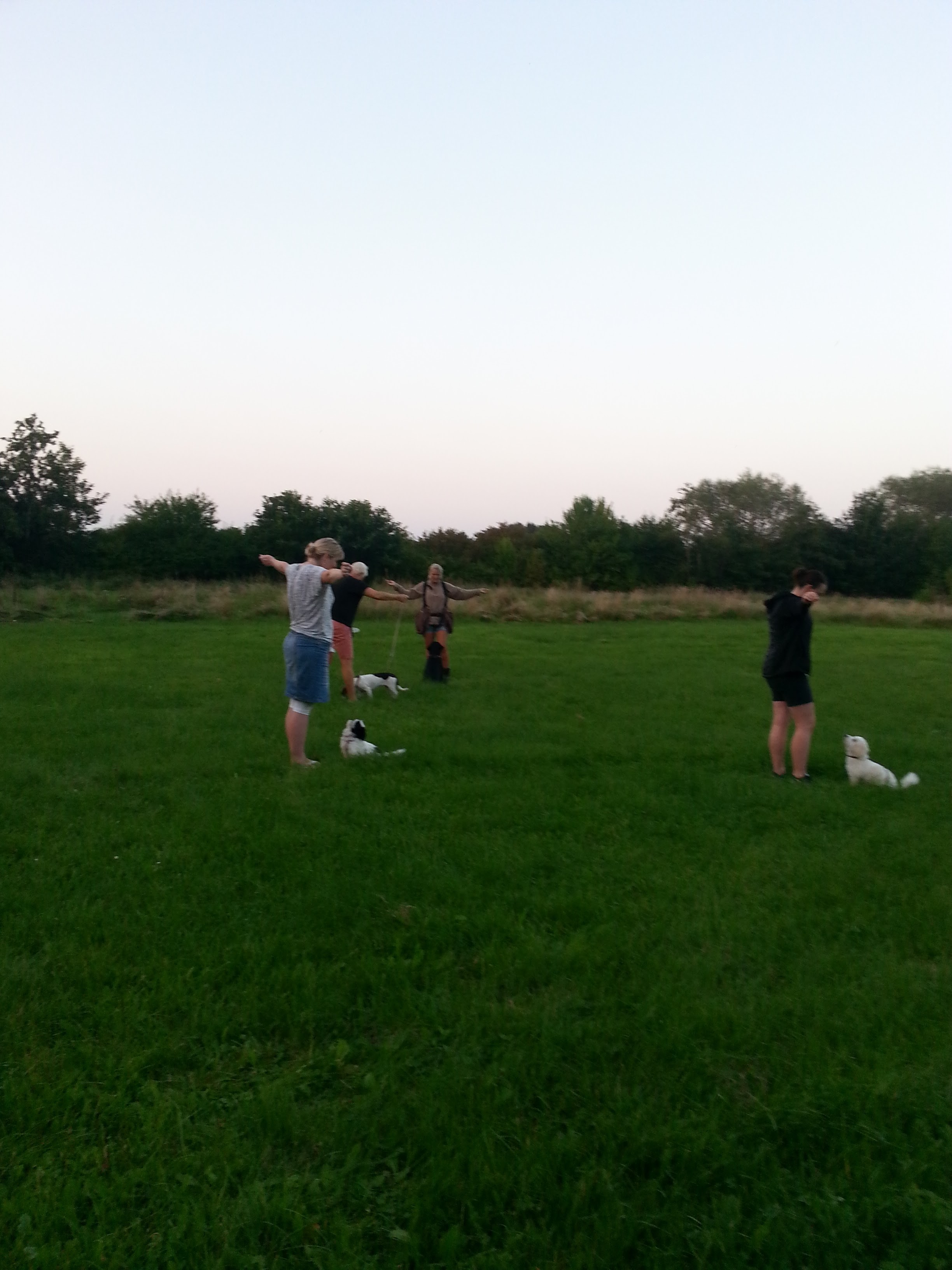 20160915_191854.jpg