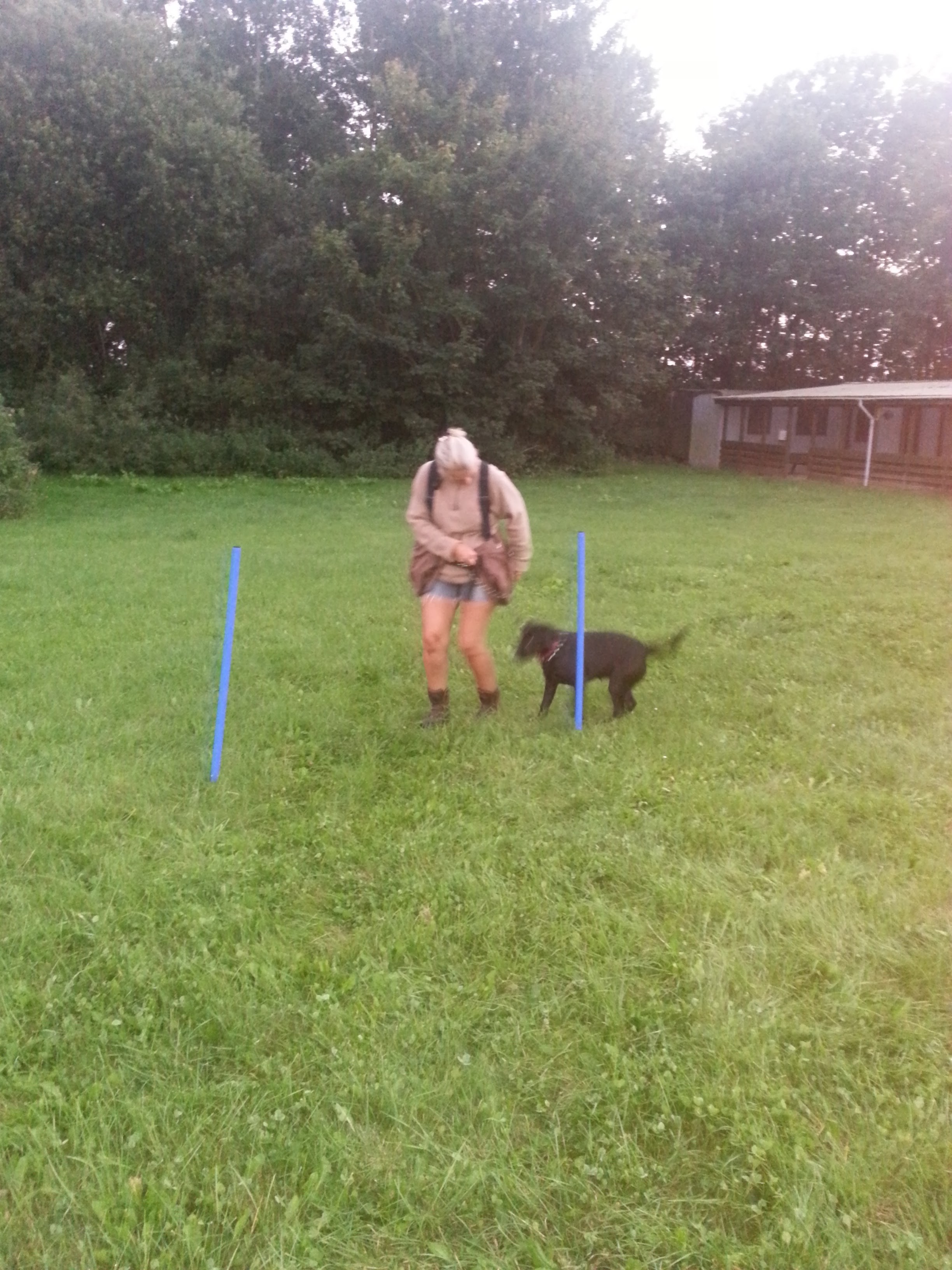20160915_194430.jpg