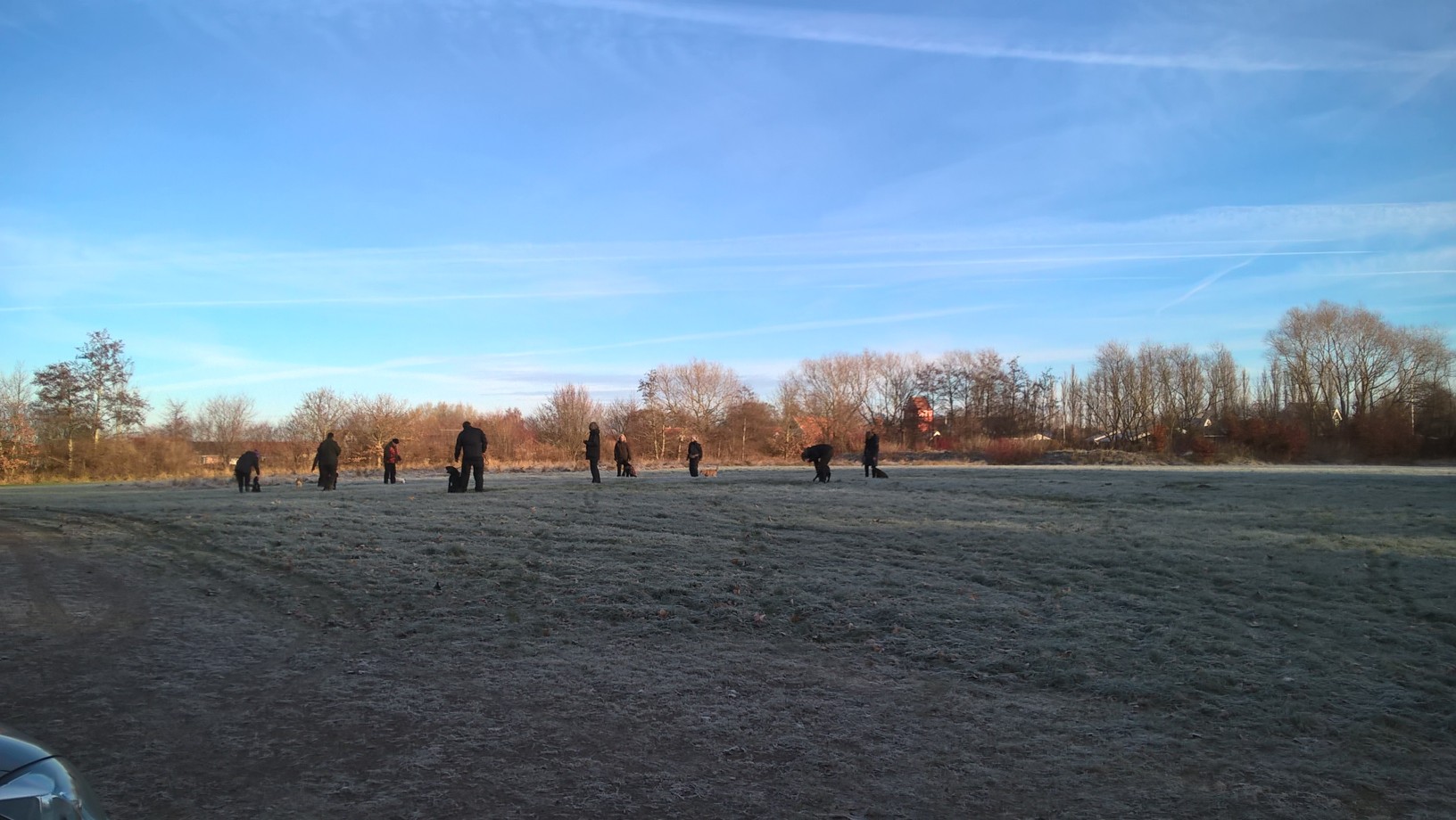 wp_20161203_10_28_25_pro.jpg