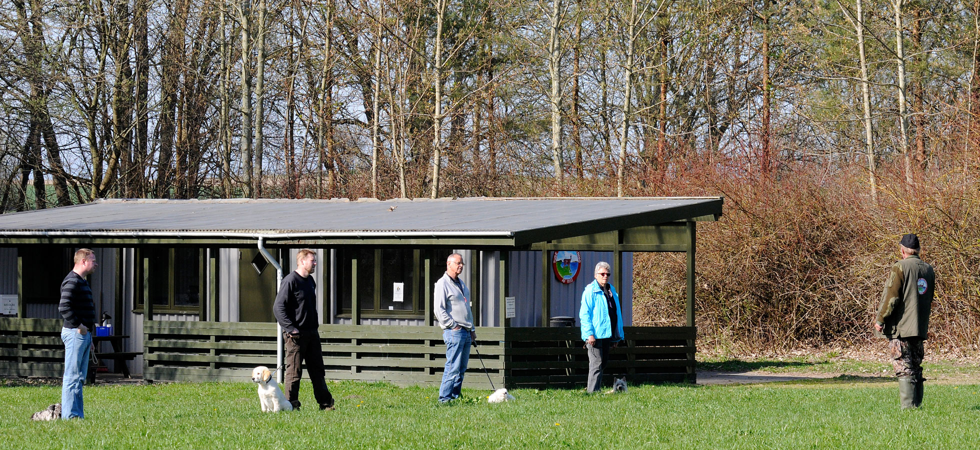 hvalpetrning-01.jpg
