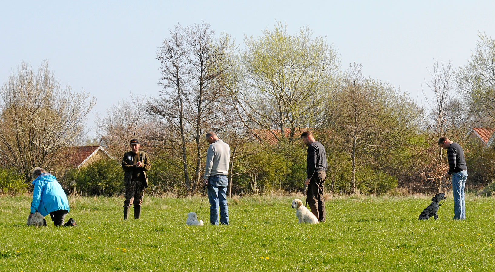 hvalpetrning-03.jpg