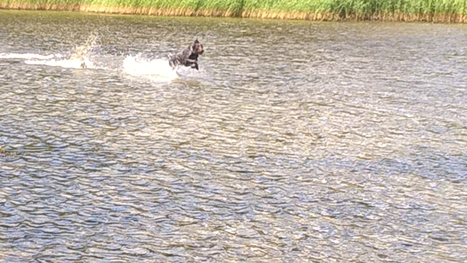 wp_20160612_10_57_19_pro.jpg