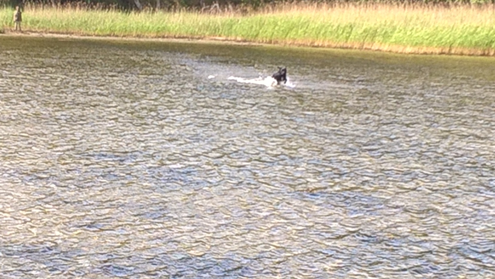 wp_20160612_11_05_57_pro.jpg
