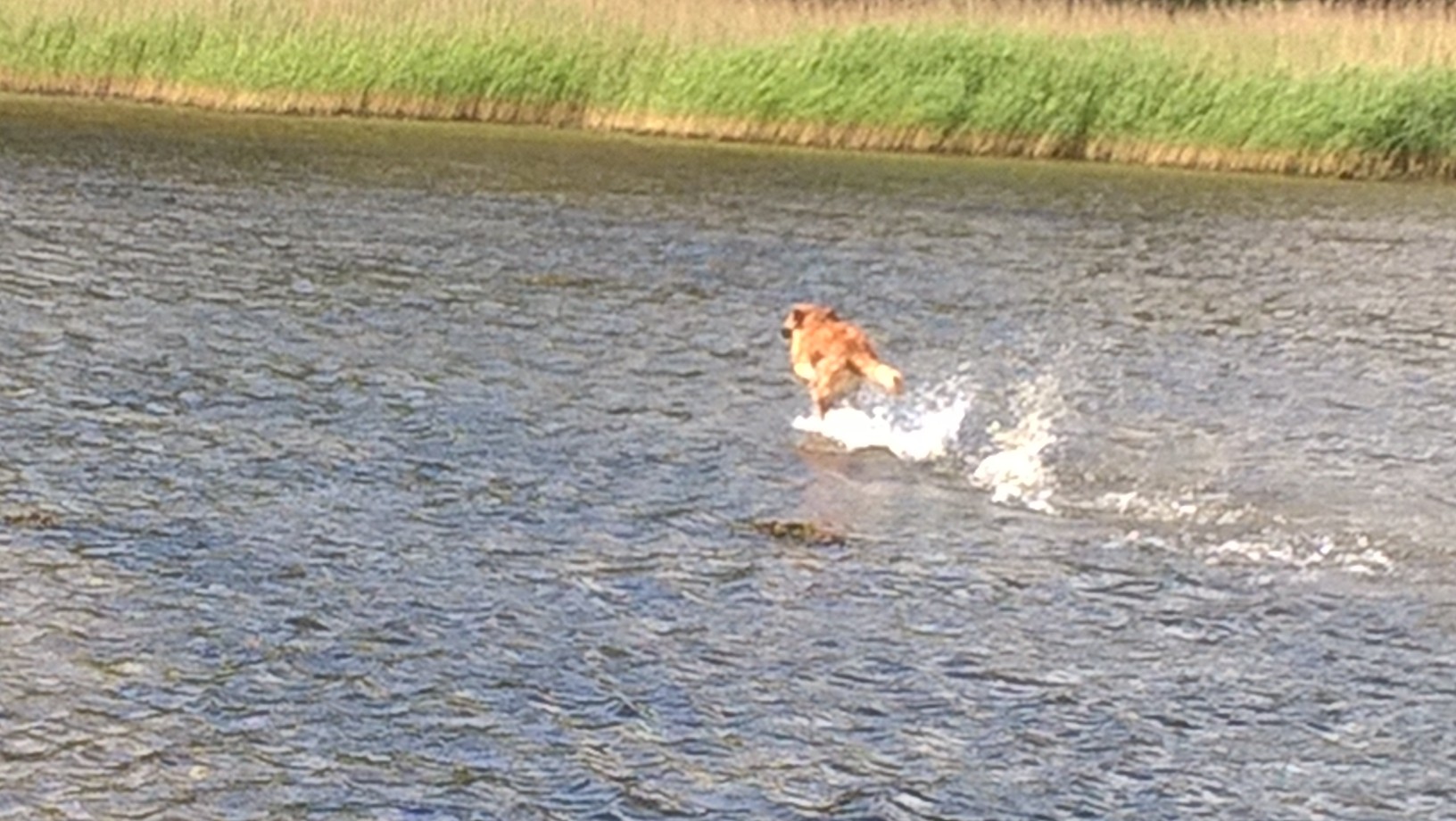 wp_20160612_11_14_22_pro.jpg