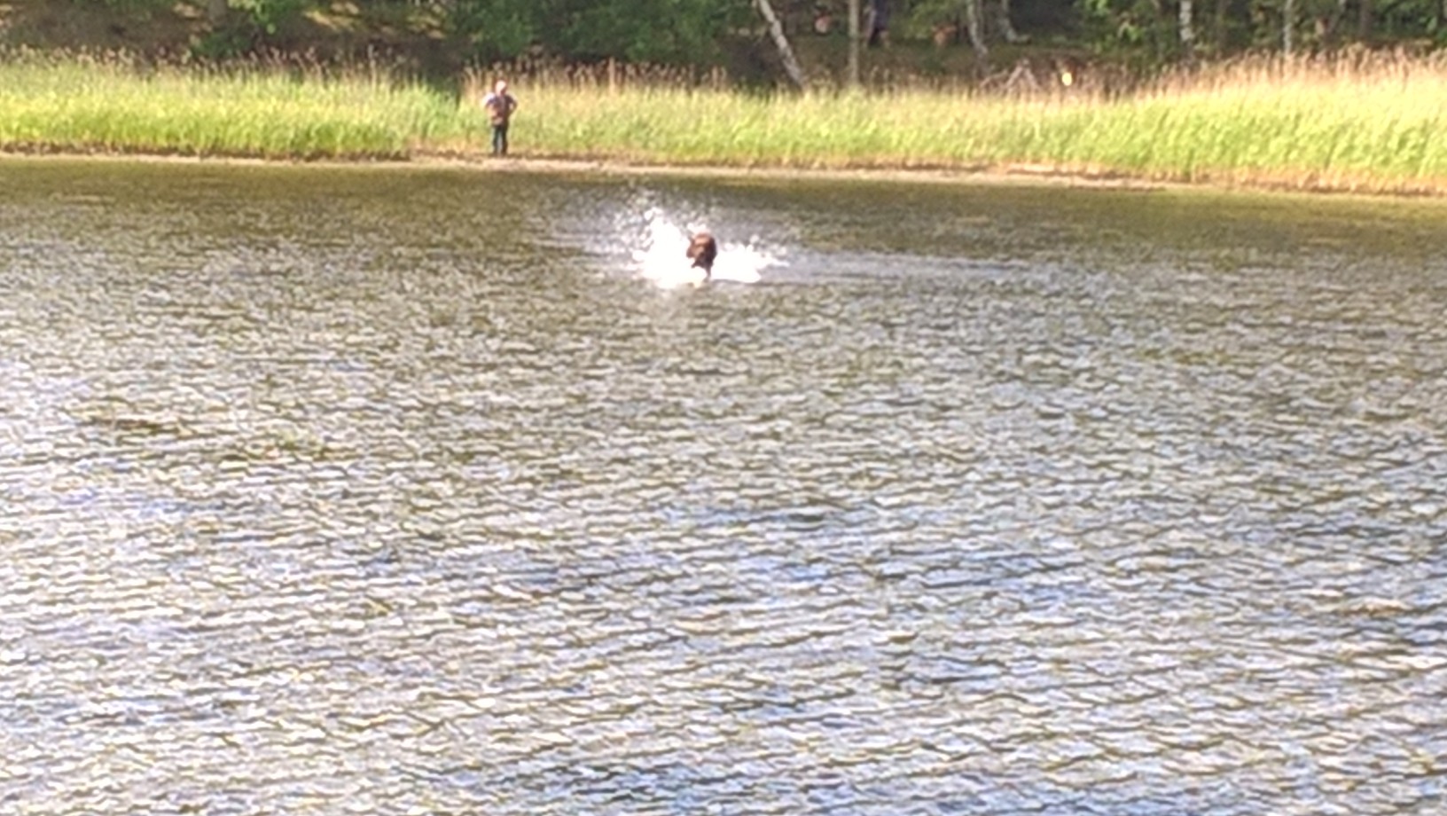 wp_20160612_11_16_04_pro.jpg