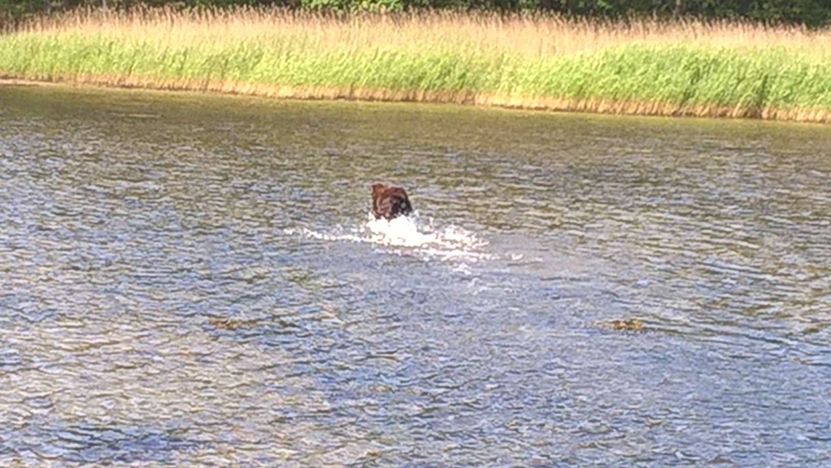 wp_20160612_11_17_32_pro.jpg
